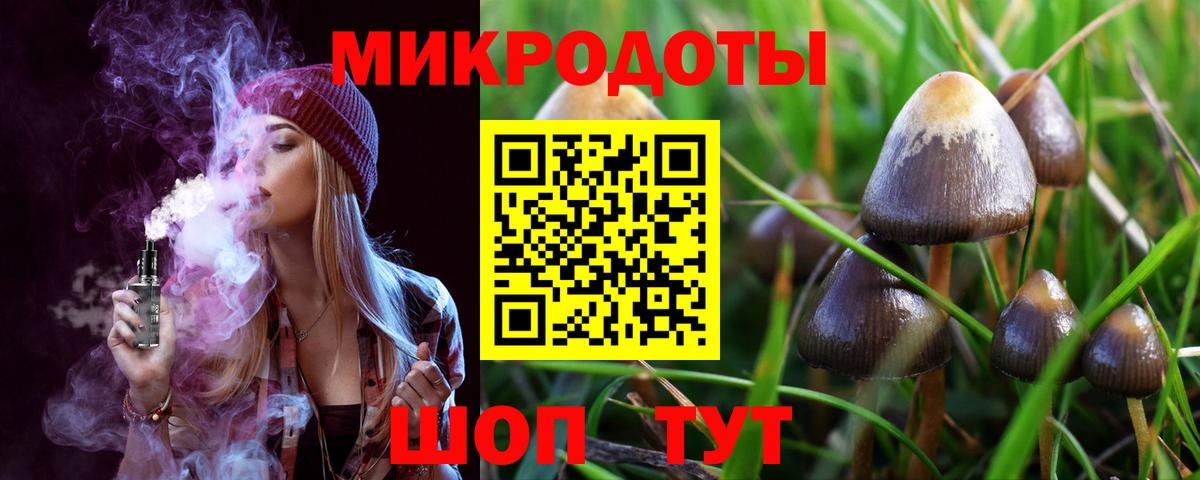 Псилоцибиновые грибы Psilocybe  Вход с VPN  Гусиноозёрск  Псилоцибиновые грибы Psilocybe 
